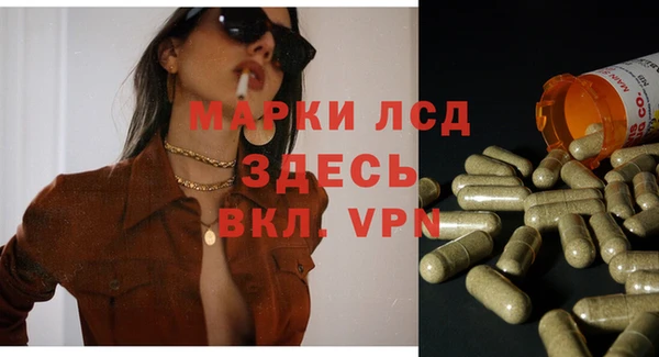 гашик Белокуриха