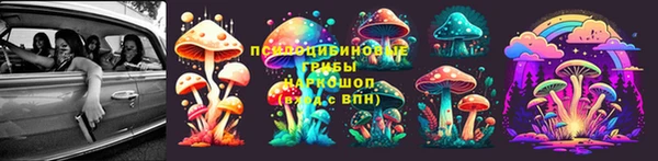 шишки Тында