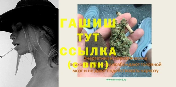 шишки Тында