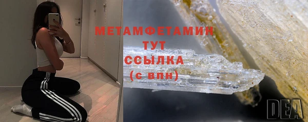 шишки Тында