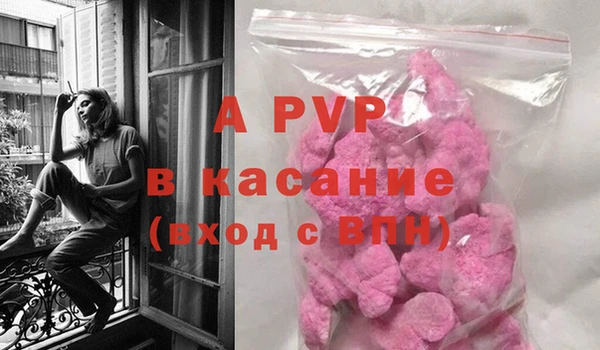 стафф Тутаев