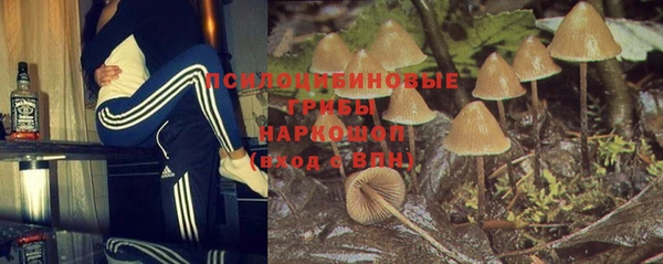 гашик Белокуриха