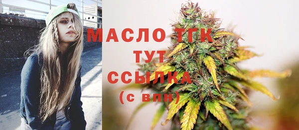шишки Тында
