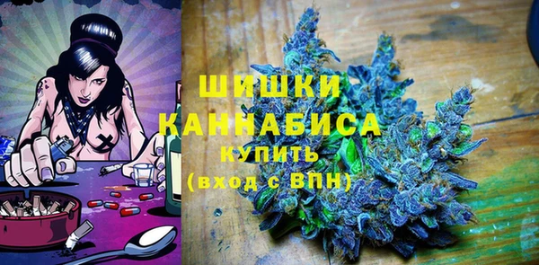 гашик Белокуриха