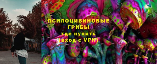 стафф Тутаев