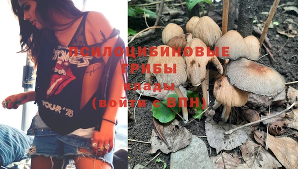 гашик Белокуриха