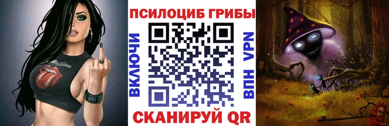 Псилоцибиновые грибы Psilocybe  Шуя 