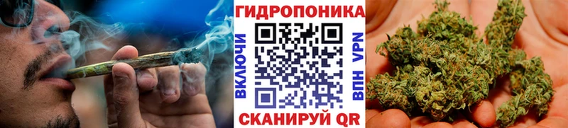 Канабис планчик  Шуя 